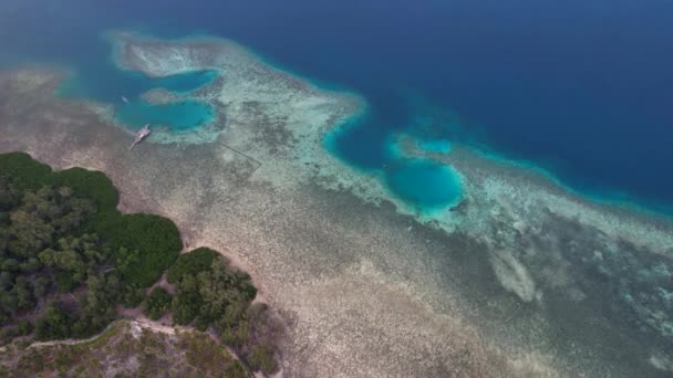Aerial Drone Видео Ярких Зеленых Мангровых Зарослей Чистой Воды Острове — стоковое видео