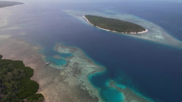 Aerial Drone Видео Ярких Зеленых Мангровых Зарослей Чистой Воды Острове — стоковое видео
