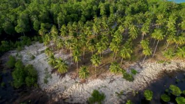 Filipinler 'de gün batımında bir adada canlı yeşil mangrovların ve kristal berrak suyun 4K Hava Aracı videosu