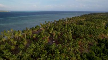 Filipinler 'de gün batımında bir adada canlı yeşil mangrovların ve kristal berrak suyun 4K Hava Aracı videosu