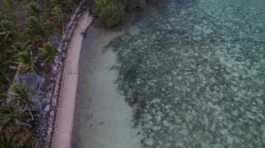 Filipinler 'de gün batımında bir adada canlı yeşil mangrovların ve kristal berrak suyun 4K Hava Aracı videosu