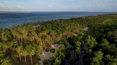 Filipinler 'de gün batımında bir adada canlı yeşil mangrovların ve kristal berrak suyun 4K Hava Aracı videosu