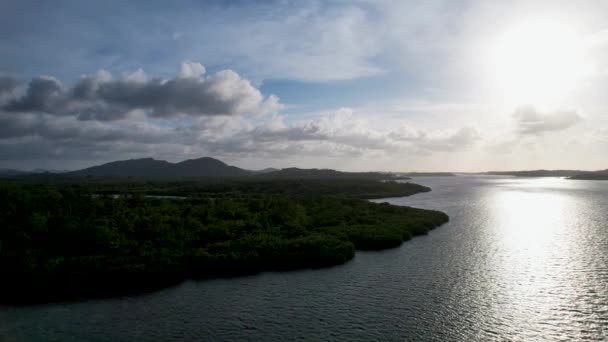 Aerial Drone Video Vívidos Manglares Verdes Aguas Cristalinas Una Isla — Vídeo de stock