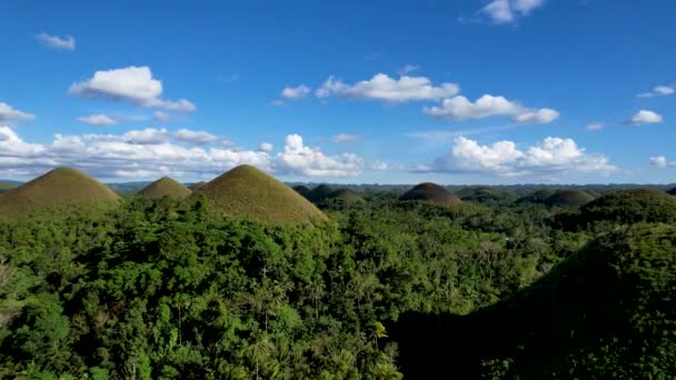 Воздушный Дрон Видео Красивого Чуда Природы Шоколадные Холмы Острове Бохол — стоковое видео
