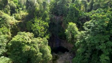 Filipinler 'deki Bohol Adası' nın derin yeşil ormanlarında gizli Kawasan Şelalesinin 4K Hava Aracı videosu.