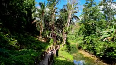 Filipinler 'deki Bohol Adası' nın derin yeşil ormanlarında gizli Kawasan Şelalesinin 4K Hava Aracı videosu.