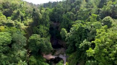 Filipinler 'deki Bohol Adası' nın derin yeşil ormanlarında gizli Kawasan Şelalesinin 4K Hava Aracı videosu.