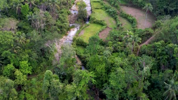 フィリピンのボホール島の厚い緑の森の奥深くに隠された河原滝の空中ドローンビデオ — ストック動画