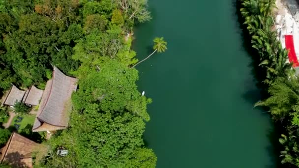 Aerial Drone Video Του Σμαραγδένιου Ποταμού Loboc Παραποτάμιο Δρόμο Και — Αρχείο Βίντεο