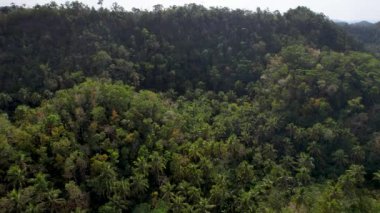 4K Hava Aracı sihirli Busai Rüya Şelaleleri 'nin Bohol, Filipinler' deki zümrüt yeşili su ve kayalarla çekilmiş videosu.