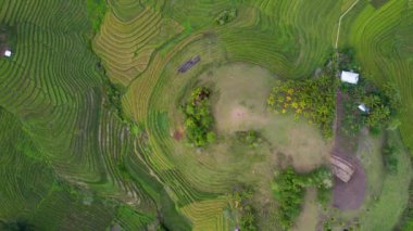 4K Hava Aracı 'nın en güzel yeşil Cadapdapan pirinç teraslarının orta ve küçük yerel evleri ile Bohol Filipinleri' ndeki barakaları gösteren videosu.