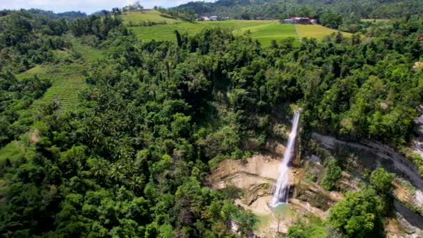 4Kエアリアルドローンビデオ ジャングルに囲まれた渓谷の岩に落下する壮大な高い滝 フィリピン ボホールのカナダの滝 — ストック動画