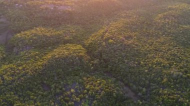Siquijor adasının altın saatindeki 4K Hava Aracı videosu. Filipinler, Filipinler 'e bakan yemyeşil orman ve palmiye ağaçları.