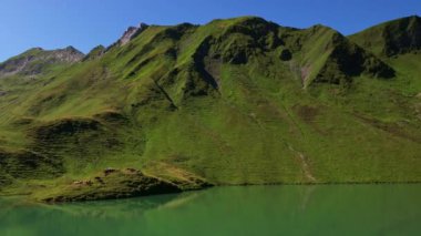 4K Hava Aracı Schrecksee Dağı 'nın en güzel dağ gölünün videosu Bavyera Alpleri' nde güneşli bir günde yemyeşil çimlerle beslenen ineklerle mavi gökyüzü ve etrafındaki kayalık tepelerle çevrili.