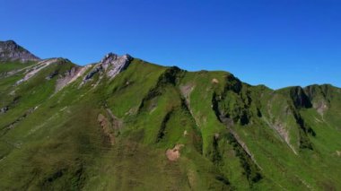4K Hava Aracı Schrecksee Dağı 'nın en güzel dağ gölünün videosu Bavyera Alpleri' nde güneşli bir günde yemyeşil çimlerle beslenen ineklerle mavi gökyüzü ve etrafındaki kayalık tepelerle çevrili.