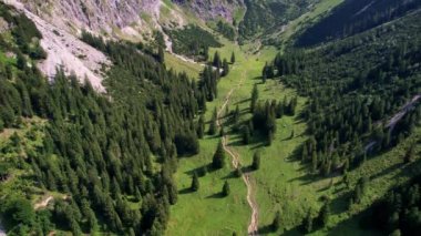 4K Hava Aracı Schrecksee Dağı 'nın en güzel dağ gölünün videosu Bavyera Alpleri' nde güneşli bir günde yemyeşil çimlerle beslenen ineklerle mavi gökyüzü ve etrafındaki kayalık tepelerle çevrili.