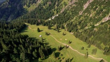 4K Hava Aracı Schrecksee Dağı 'nın en güzel dağ gölünün videosu Bavyera Alpleri' nde güneşli bir günde yemyeşil çimlerle beslenen ineklerle mavi gökyüzü ve etrafındaki kayalık tepelerle çevrili.