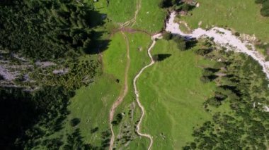 4K Hava Aracı Schrecksee Dağı 'nın en güzel dağ gölünün videosu Bavyera Alpleri' nde güneşli bir günde yemyeşil çimlerle beslenen ineklerle mavi gökyüzü ve etrafındaki kayalık tepelerle çevrili.