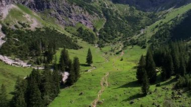 4K Hava Aracı Schrecksee Dağı 'nın en güzel dağ gölünün videosu Bavyera Alpleri' nde güneşli bir günde yemyeşil çimlerle beslenen ineklerle mavi gökyüzü ve etrafındaki kayalık tepelerle çevrili.