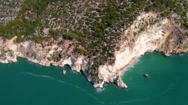 İtalya, Puglia, Apulia 'da güneşli bir yaz gününde en güzel kumlu plajları ve zeytin ağaçlarıyla en güzel beyaz uçurumların 4K hava aracı videosu. Garip daire şekilleri olan ilginç bir sahil.