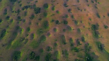 4K Hava Aracı, Bosna-Hersek 'in yemyeşil manzaralarında uzun gölgeli, doğanın gizemli subatanları fenomeninin videosu.