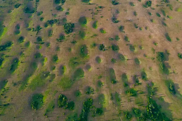 4K Hava Aracı, Bosna-Hersek 'in yemyeşil manzaralarında uzun gölgeli, doğanın gizemli subatanları fenomeninin videosu.