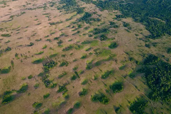 4K Hava Aracı, Bosna-Hersek 'in yemyeşil manzaralarında uzun gölgeli, doğanın gizemli subatanları fenomeninin videosu.