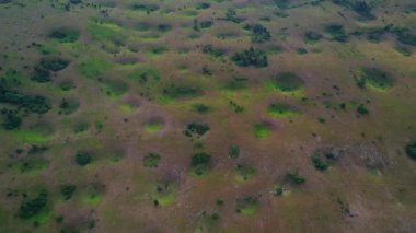 4K Hava Aracı, Bosna-Hersek 'in yemyeşil manzaralarında uzun gölgeli, doğanın gizemli subatanları fenomeninin videosu.