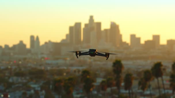 Felvétel Drone Repül Végig Városon Háttérben Egy Arany Naplemente Pálmafák — Stock videók