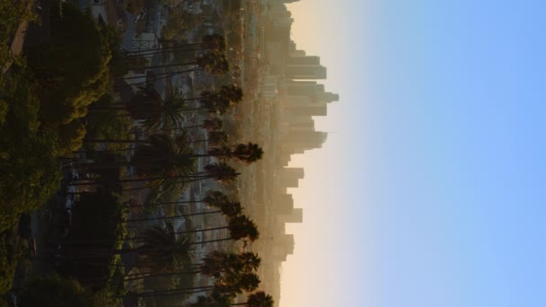 Pionowy Widok Centrum Los Angeles Kołyszące Się Dłonie Wietrze Miasto — Wideo stockowe