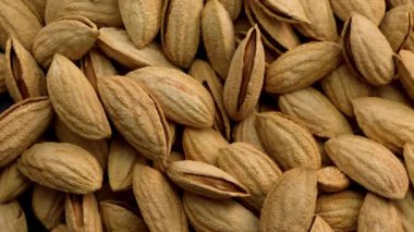 4K görüntü, badem kabuklu üst görüntü, doğal tırnaklı bir kadın eli fındıklardan birini dikkatlice alır. Sakin sahne, düzgün hareketler. Çiğ taze fındık