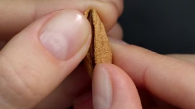 4k yakın çekim üst görünüm makro kadın parmaklar temiz doğal bir manikür ile badem açmak, kabuğundan çıkarmak. 