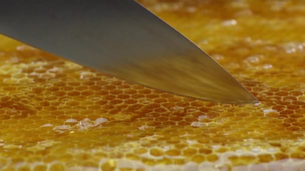 Footage Close Knife Cutting Honeycomb Knife Immersed Golden Fresh Smooth — Stock Video
