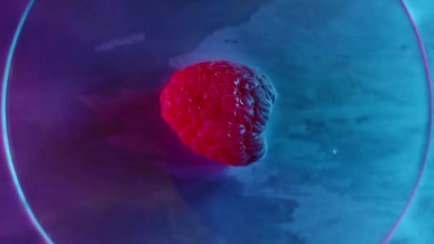 Крупним Планом Знімок Одного Рожевого Свіжого Малини Повільно Обертається Металевій — стокове відео