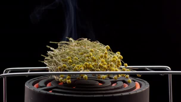4K密闭镜头洋甘菊芽干燥在烘干机盘与加热线圈 有益草药脱水的过程 多余水分的蒸发 准备供进一步使用的原材料 — 图库视频影像