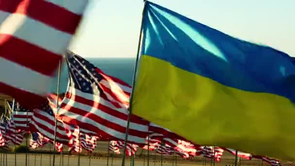 Υψηλής Ποιότητας Πλάνα Άποψη Για Την Ουκρανία Και Αμερικανικές Σημαίες — Αρχείο Βίντεο