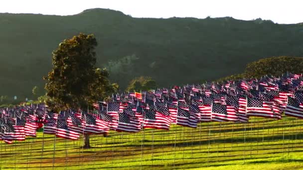 Высококачественные Кадры Вид Американские Флаги Развевающиеся Ветру Фоне Зеленых Холмов — стоковое видео
