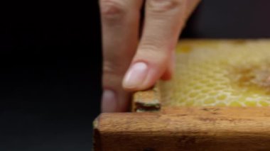 4k yakın çekimde beyaz bir kadın eli balmumu bal peteği ile ahşap bir çerçeveyi hareket ettiriyor. Sarı doğal ürün. Ham maddelerin kullanımı için hazırlanması
