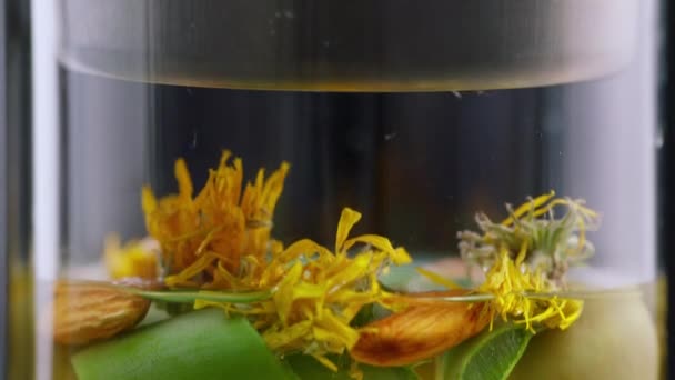 Zamknąć Proces Nagrywania Krem Kosmetyczny Naturalnych Składników Aloes Rumianek Oliwka — Wideo stockowe