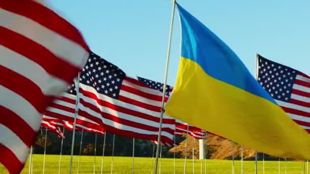Filmati Alta Qualità Vista Ucraina Bandiere Americane Sventolando Nel Vento — Video Stock