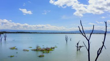 Nakuru ilçesindeki büyük Naivasha Gölü 'nün HD görüntüsü. Kenya 'daki Büyük Yarık Vadisi. Güneşli bir günde Afrika 'nın vahşi doğasının renkli manzaraları.