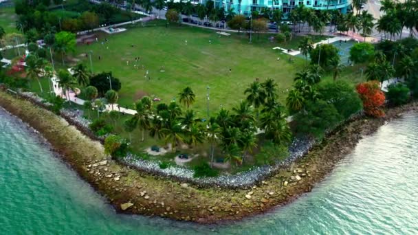 Bunte Luftaufnahmen Vom Grünen Margaret Pace Park Mit Palmen Und — Stockvideo