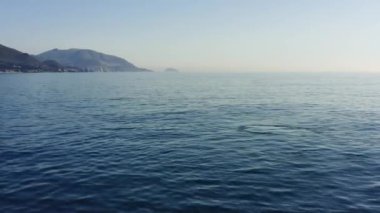 Kambur balinaların 4K hava görüntüleri güneşli bir havada Pasifik Okyanusu 'nun mavi sularının üzerinden atlıyor. Deniz memelilerinin yaşamını gözlemlemek. Monterey Körfezi Ulusal Sığınağı. Kaliforniya mı? ABD