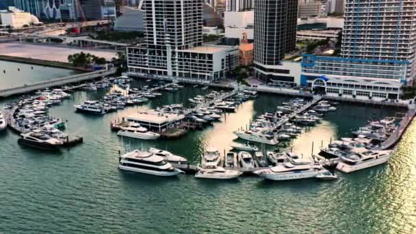 Perfect Aerial Flight Marine Port Miami Harbor Overhead View White — Αρχείο Βίντεο