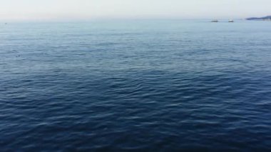 Kambur balinaların 4K hava görüntüleri. Monterey Körfezi Ulusal Deniz Sığınağı 'nda Pasifik Okyanusu' nun üzerinden atlayan büyük memeli. Balina İzleme Turu. Big Sur California ABD