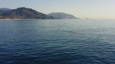 4k sinematik hava fotoğrafçılığı sudan renkli dağlara kadar Kaliforniya 'da. Ön planda, büyük bir kambur balina mavi okyanustan atlıyor, birçok kuş parlak suyun üzerinde uçuyor. Büyük Sur
