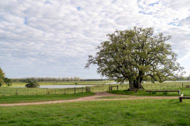 Gündüzleri kırsal alan. Doğa konsepti.