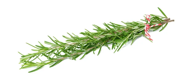 Fresh Branches Rosemary Green Leaves Isolated White Background Spice Meat Royalty Free Stock Photos