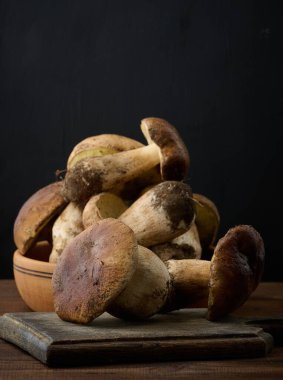 Taze orman beyaz mantarlar tahtada