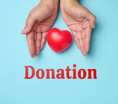 Female hands holds red heart, blue background. Love and donation concept, top view clipart